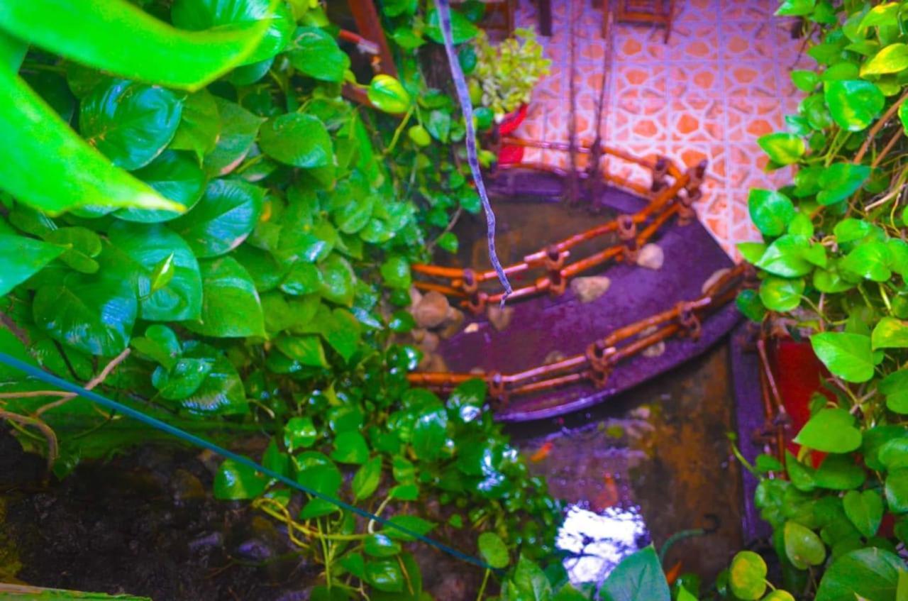 Linda Cottage Galle Exterior foto